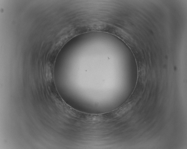 X0000067401058200604131951