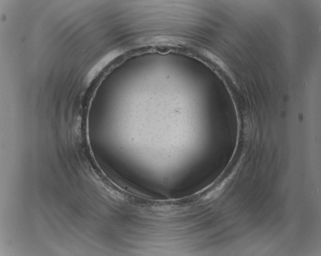 X0000067401066200604131951