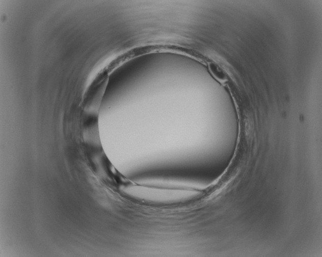 X0000067401069200604131951