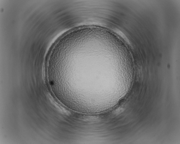 X0000067401076200604131951