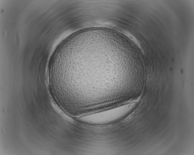 X0000067401080200604131951