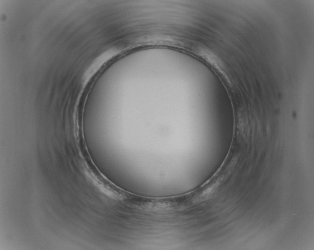 X0000067401082200604131951