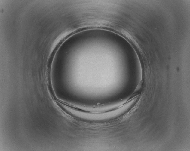X0000067401085200604131950