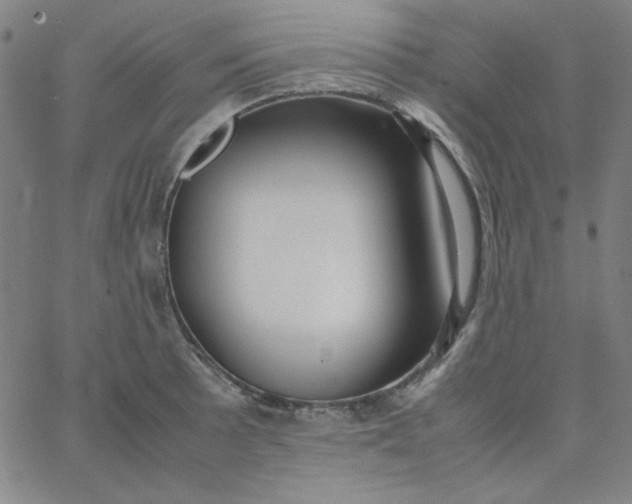 X0000067401089200604131950
