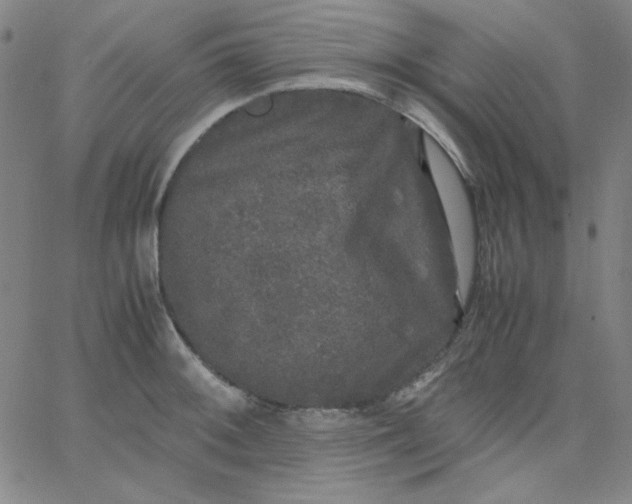 X0000067401092200604131950