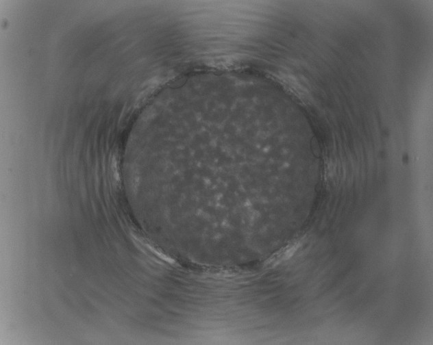 X0000067401106200604131949