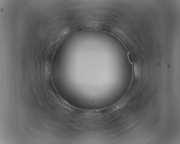 X0000067401107200604131949
