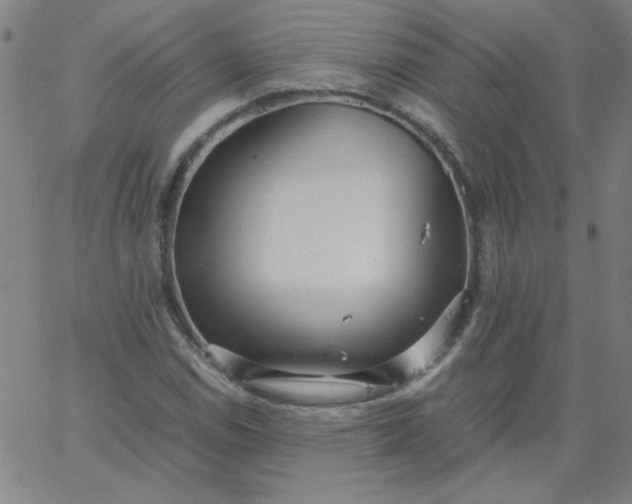 X0000067401114200604131950