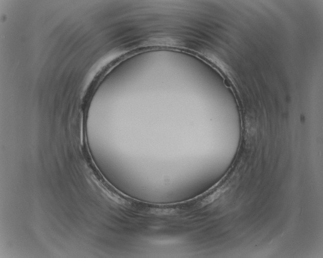 X0000067401123200604131950
