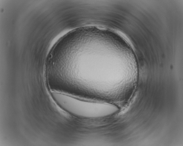 X0000067401149200604131950