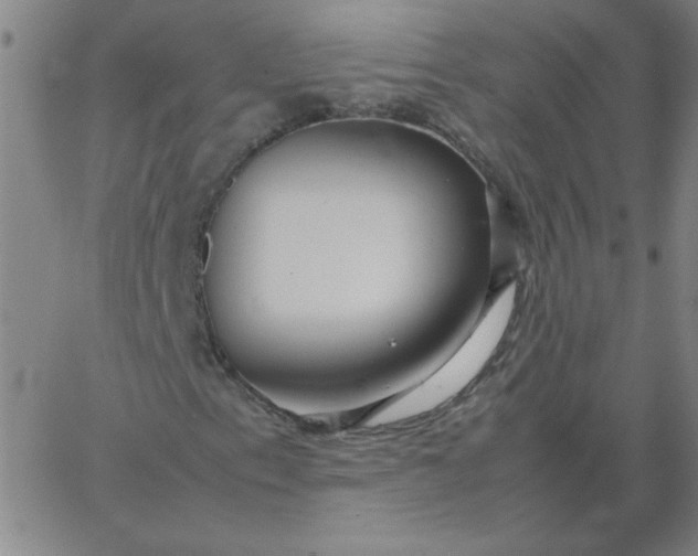 X0000067401153200604131949