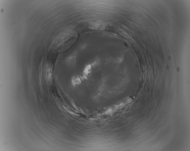 X0000067401154200604131949