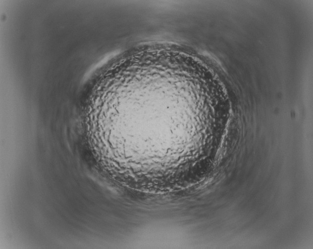 X0000067401159200604131949