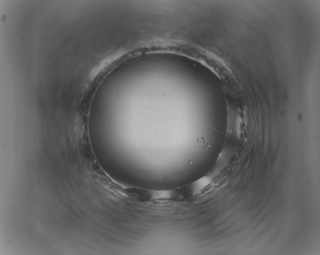 X0000067401160200604131949