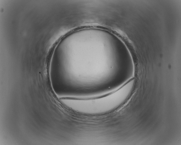 X0000067401167200604131949