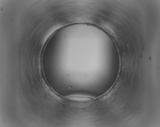 X0000067401182200604131949