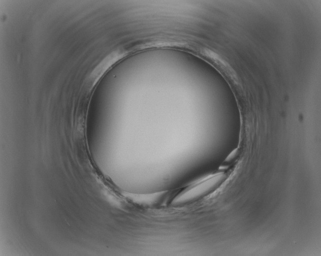 X0000067401185200604131949