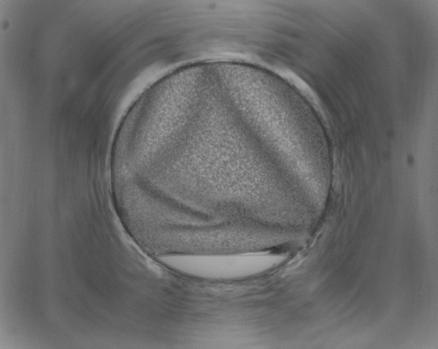 X0000067401191200604131949