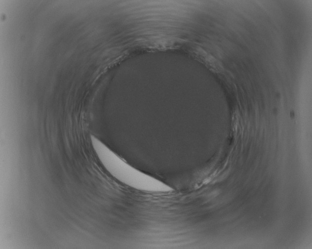 X0000067401202200604131948