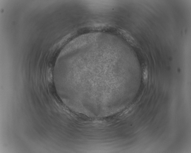 X0000067401204200604131948
