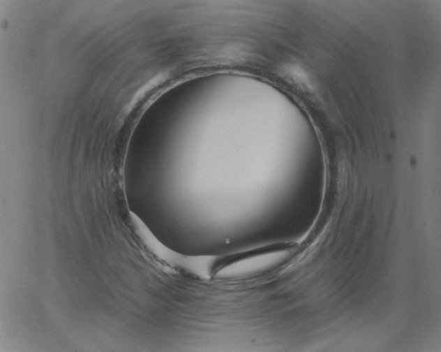 X0000067401210200604131948