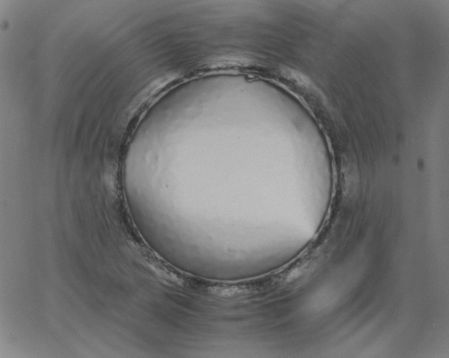 X0000067401217200604131948