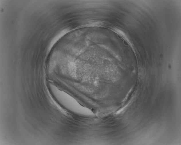 X0000067401235200604131948
