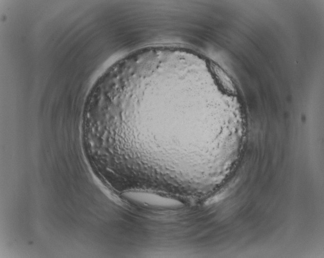 X0000067401237200604131948