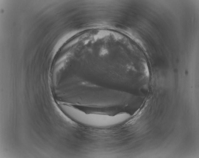 X0000067401239200604131948