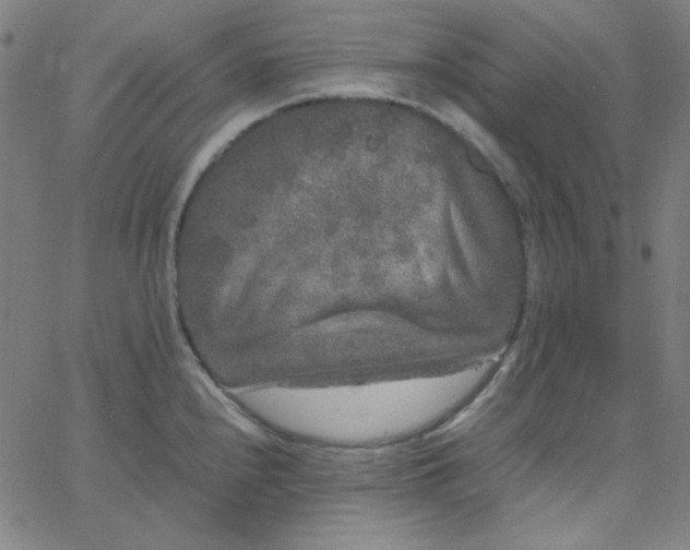 X0000067401240200604131948