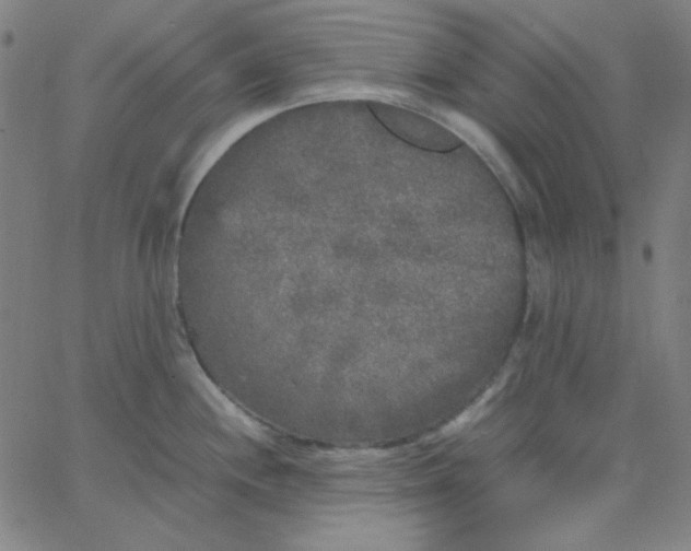 X0000067401244200604131949