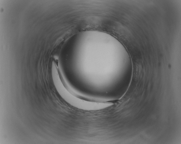 X0000067401250200604131948