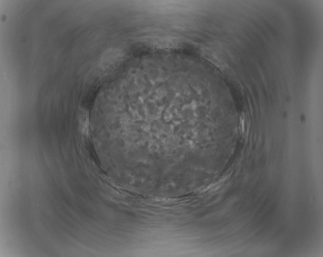 X0000067401251200604131948