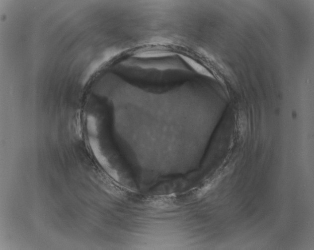 X0000067401262200604131948