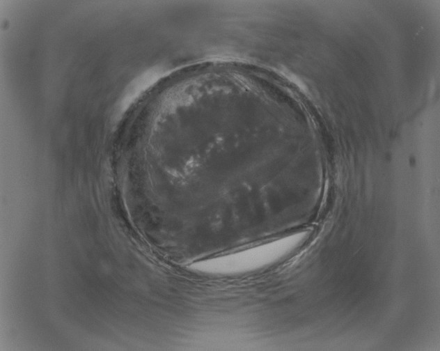 X0000067401263200604131948