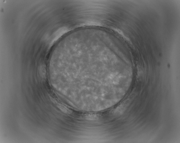 X0000067401266200604131948