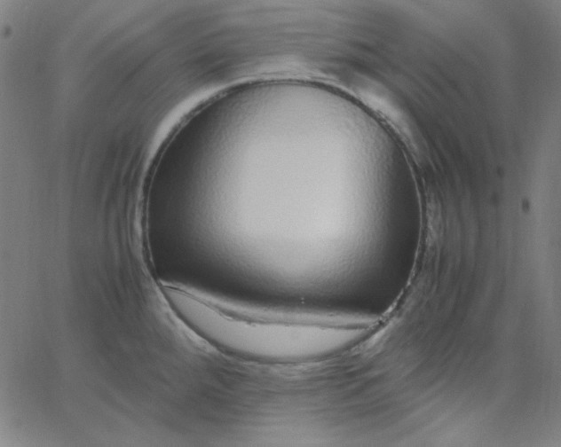 X0000067401288200604131947