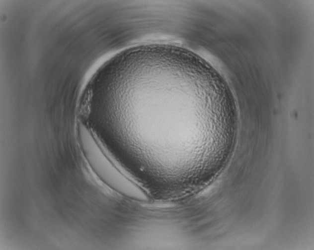 X0000067401296200604131947