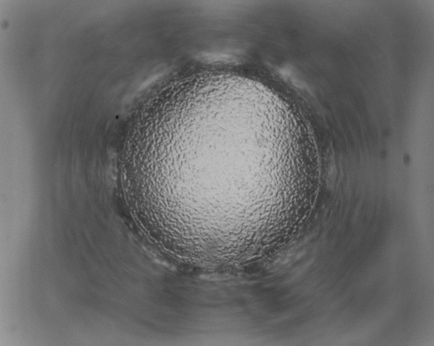 X0000067401301200604131946