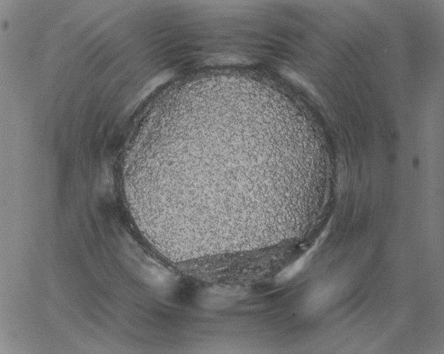 X0000067401305200604131946