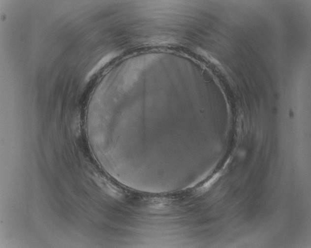 X0000067401306200604131946