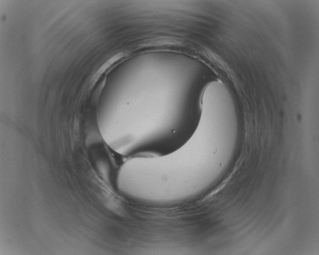 X0000067401321200604131947