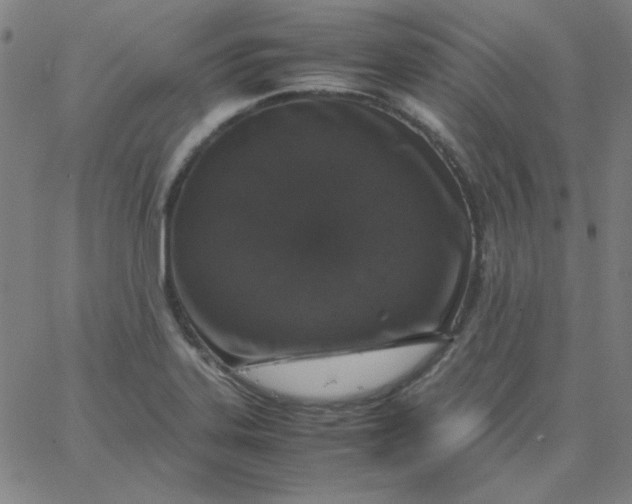 X0000067401323200604131947