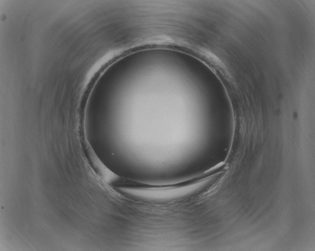 X0000067401326200604131947