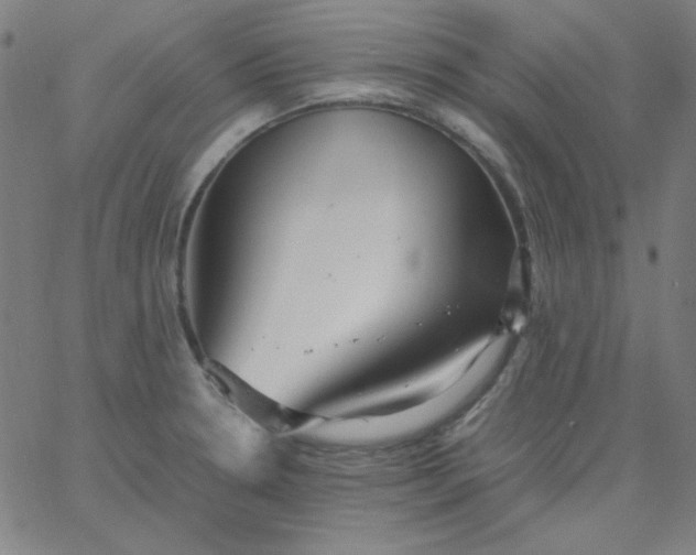 X0000067401330200604131947