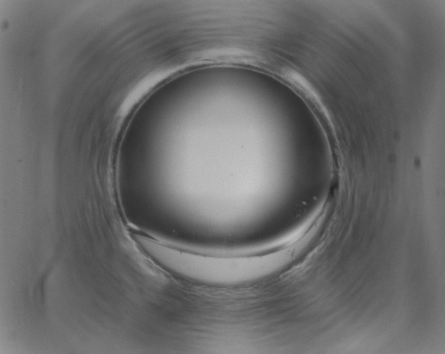 X0000067401336200604131947