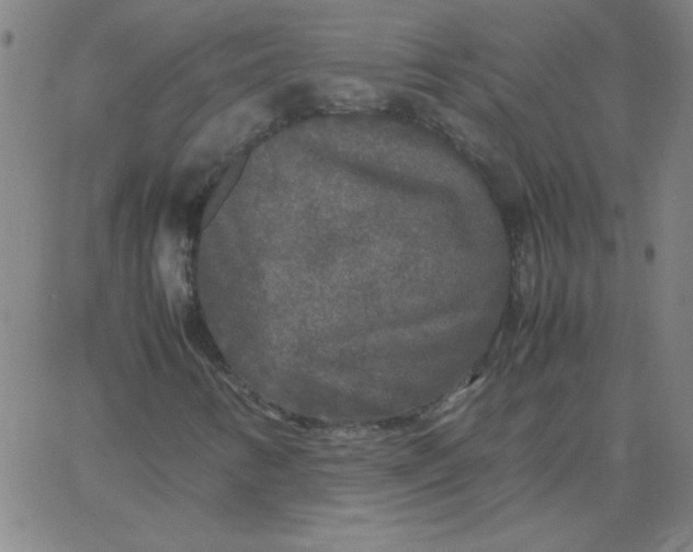 X0000067401346200604131946
