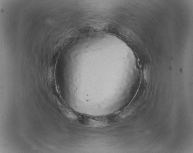 X0000067401347200604131946