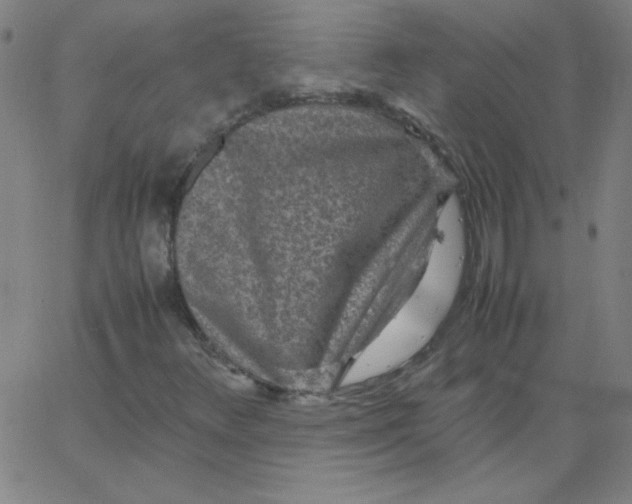 X0000067401348200604131946