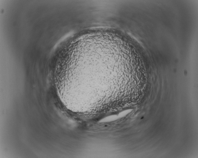 X0000067401351200604131946